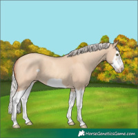 Horse Color:Silver Classic Champagne Dun Splash Frame
