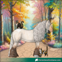 Horse Color:Silver Bay Roan Dun Blanket Rabicano 