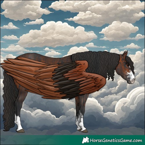 Horse Color:Black and Brown