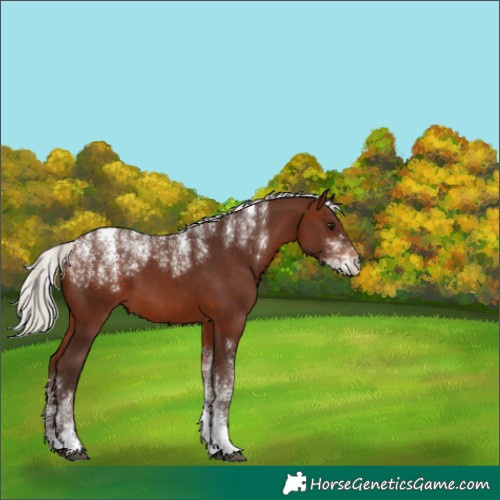 Horse Color:Powder White Silver Brown 