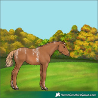 Horse Color:Powder White Chestnut 