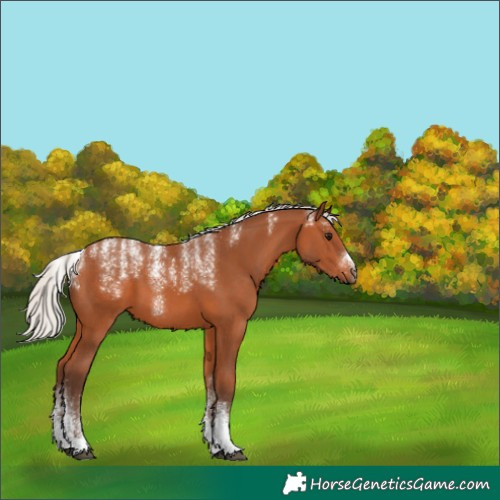 Horse Color:Powder White Silver Bay 