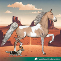 Horse Color:Silver Bay Dun Sabino Tobiano Frame Rabicano 