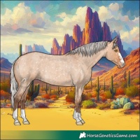Horse Color:Silver Bay Roan Dun Snowflake Varnish Rabicano