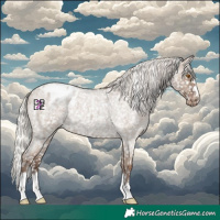 Horse Color:Silver Grullo Roan Snowflake Varnish Rabicano 