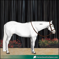 Horse Color:Silver Bay Roan Dun Snowflake Varnish Rabicano