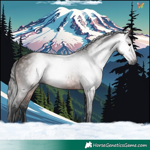 Horse Color:Gray Bay 
