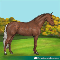 Horse Color:Silver Black 