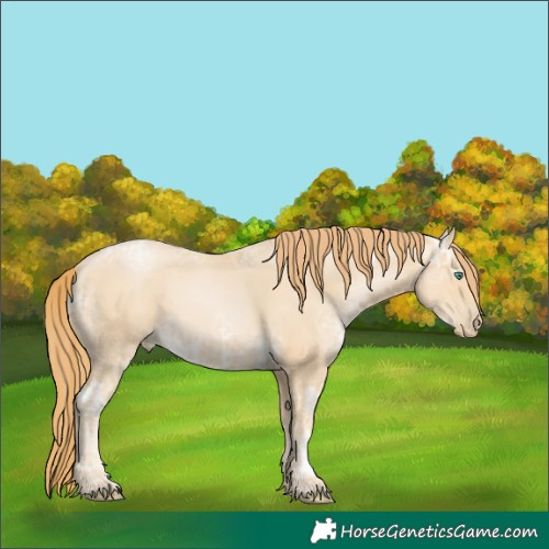 Horse Color:Unknown 