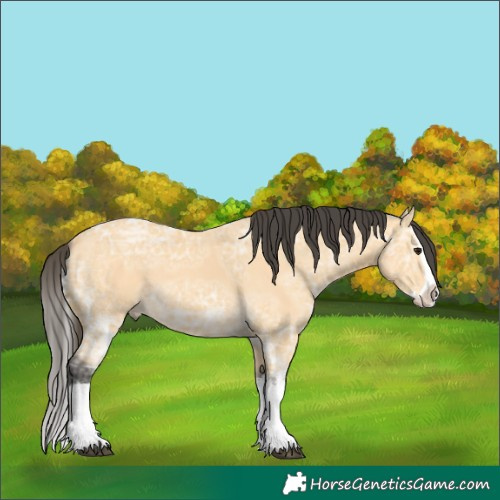 Horse Color:White Spotted Buckskin Ice Splash 