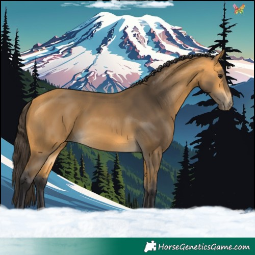 Horse Color:Buckskin 