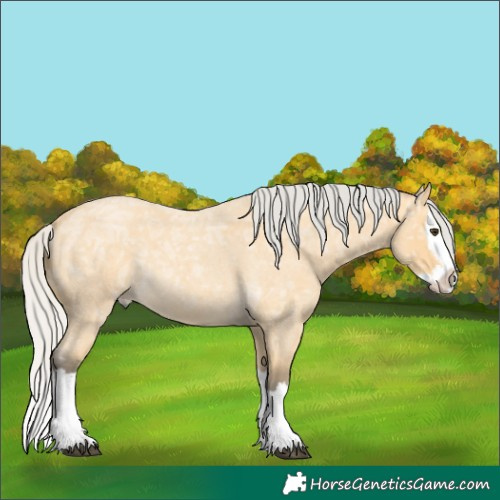 Horse Color:Silver Buckskin Ice Roan Splash 
