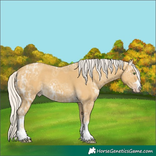 Horse Color:Silver Classic Cream Champagne Ice 