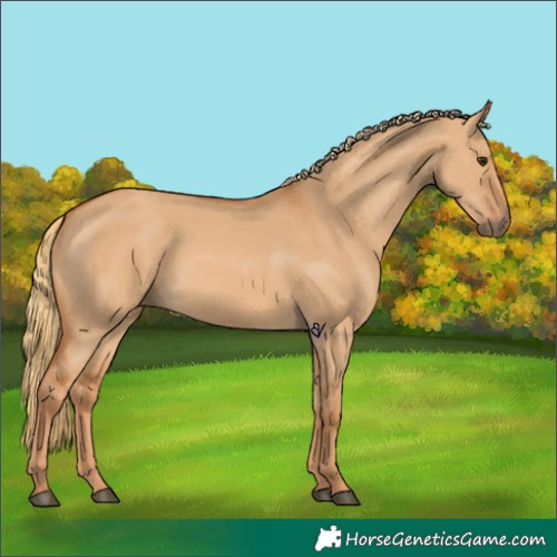 Horse Color:Red Dun 