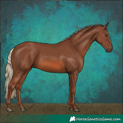 Horse Color:Chestnut 