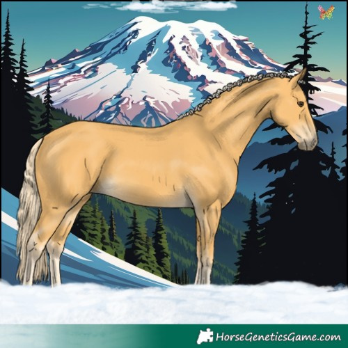 Horse Color:Palomino 