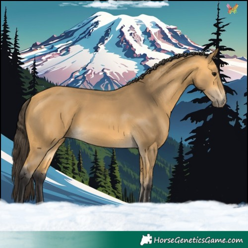 Horse Color:Buckskin Rabicano 