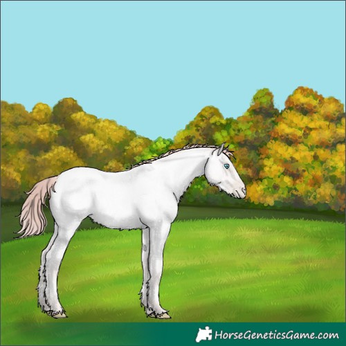 Horse Color:Platinum Classic Cream Champagne Roan Pearl 