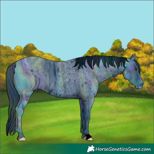 Horse Color:ERROR: UNKNOWN ANOMALY