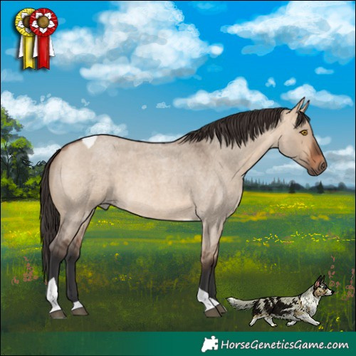 Horse Color:Bay Roan Dun Tobiano Rabicano 
