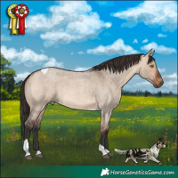 Horse Color:Bay Roan Dun Tobiano Rabicano