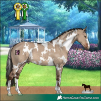 Horse Color:White Spotted Liver Red Dun 