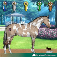 Horse Color:White Spotted Liver Red Dun