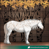Horse Color:Bay Dun Merle Splash Tobiano Snowflake Varnish Rabicano 