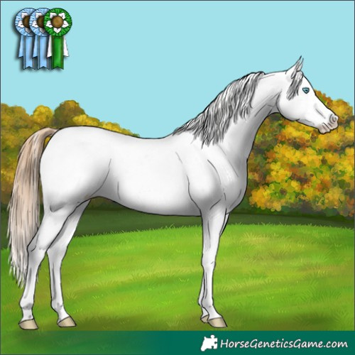 Horse Color:White Spotted Buckskin Pearl Appaloosa 