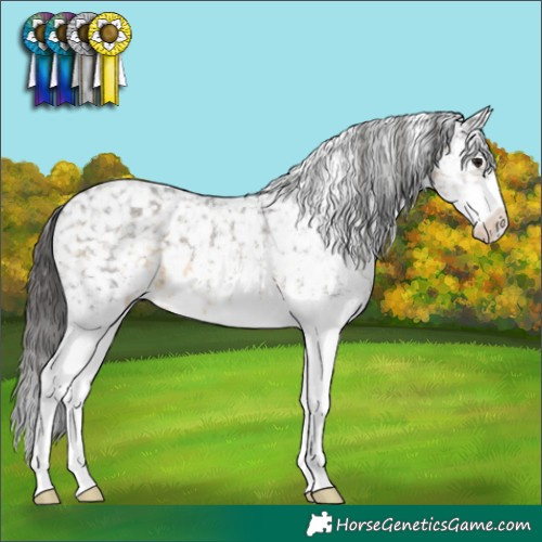 Horse Color:White Spotted Buckskin Snowflake Varnish