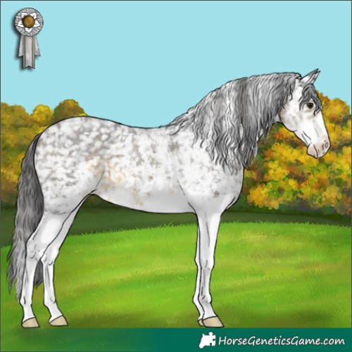 Horse Color:White Spotted Buckskin Appaloosa 