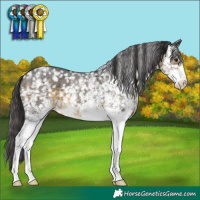 Horse Color:White Spotted Buckskin Snowflake Varnish
