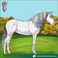 Horse Color:White Spotted Buckskin Appaloosa 