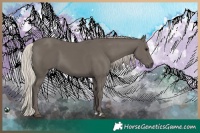 Horse Color:Silver Black