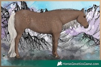 Horse Color:Silver Black 