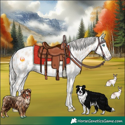 Horse Color:Cremello Near Leopard 