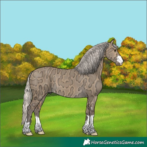 Horse Color:Silver Buckskin Ice Dun 