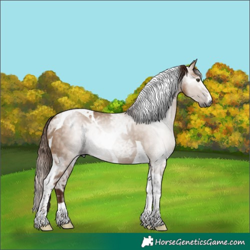 Horse Color:Gray Red Dun Ice Tobiano 