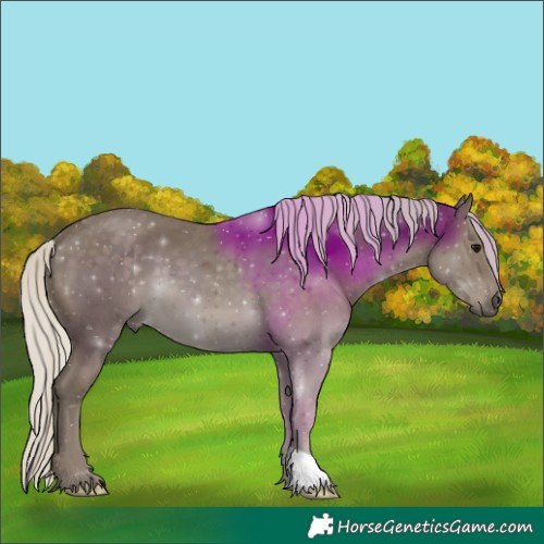 Horse Color:Silver Smoky Black 