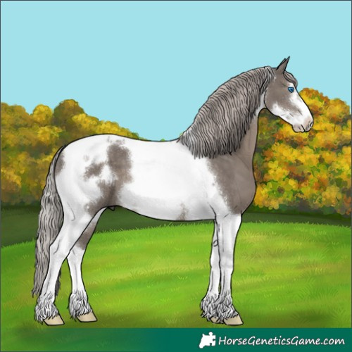 Horse Color:Silver Black Tobiano Frame 