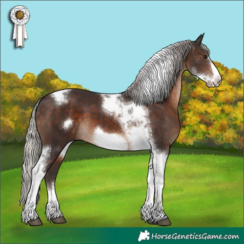 Horse Color:Silver Brown Tobiano Frame 