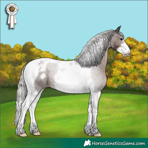 Horse Color:Silver Black Tobiano Frame Appaloosa 