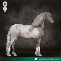 Horse Color:Silver Black Tobiano Appaloosa 