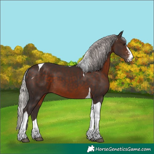 Horse Color:Silver Brown Mushroom Sabino Tobiano 