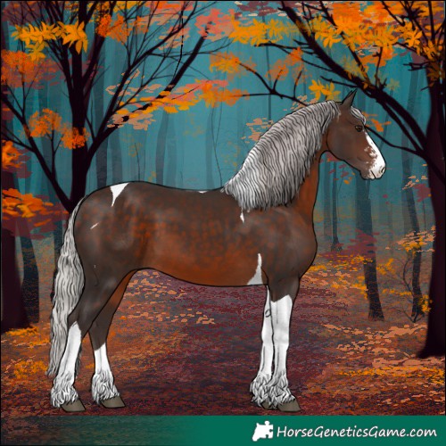 Horse Color:Silver Brown Mushroom Sabino Tobiano 