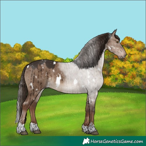 Horse Color:White Spotted Liver Red Dun Brindle 