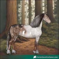 Horse Color:White Spotted Liver Red Dun Brindle