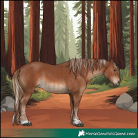 Horse Color:Silver Black  and Chestnut 