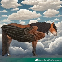 Horse Color:Bay and Bay