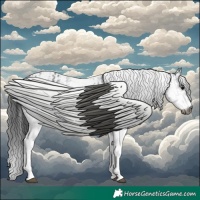 Horse Color:Gray White Spotted Black  and Gray White Spotted Black 